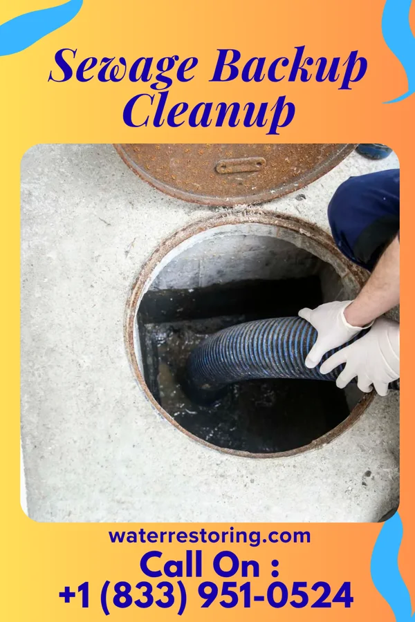 Sewage Backup Cleanup in Fairview, GA
