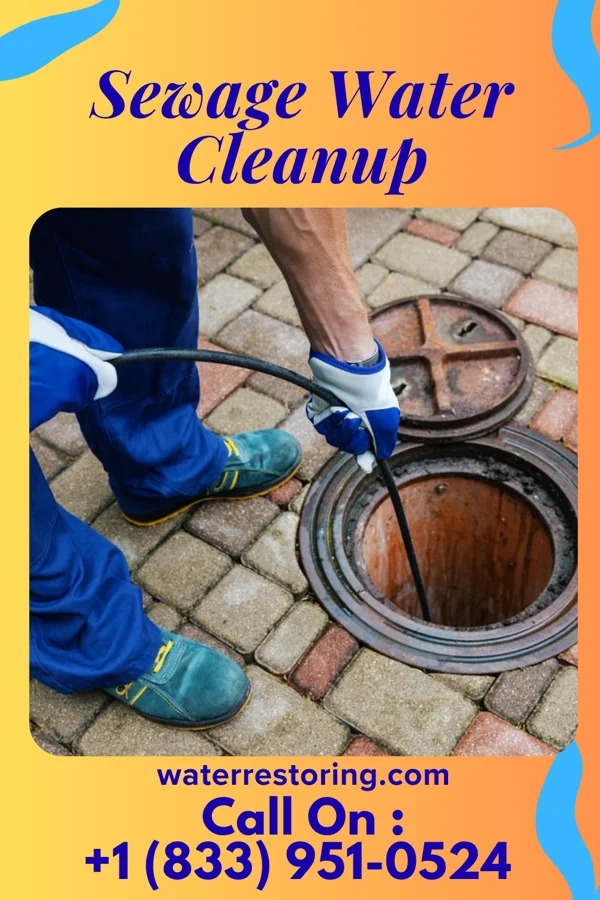 Sewage Water Cleanup in Fairview, GA
